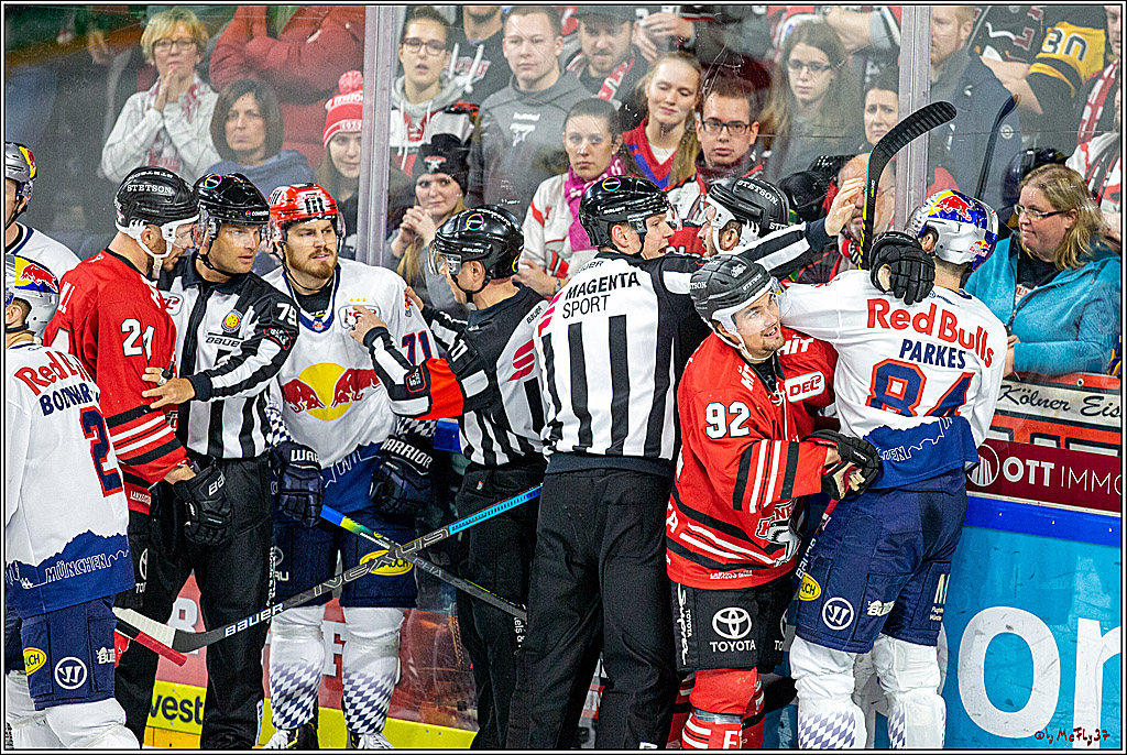 DEL;  Koelner Haie - EHC Red Bull Muenchen; Koeln, 02.02.2020